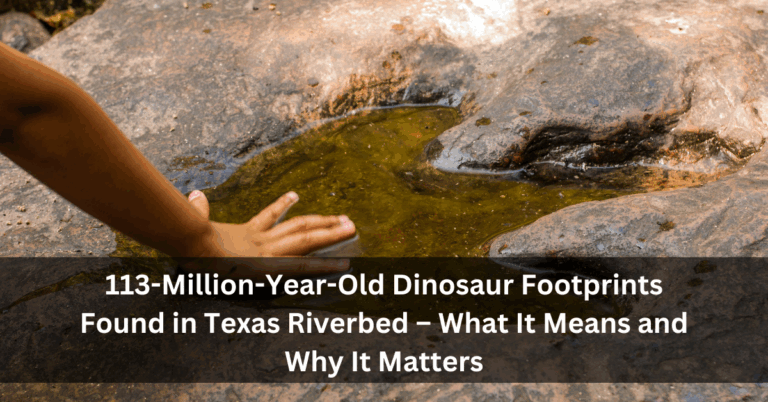 113-Million-Year-Old Dinosaur Footprints Found in Texas Riverbed – What It Means and Why It Matters
